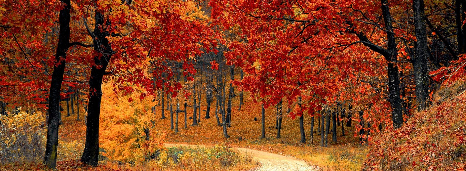 Five Ways To Prepare For Fall Season